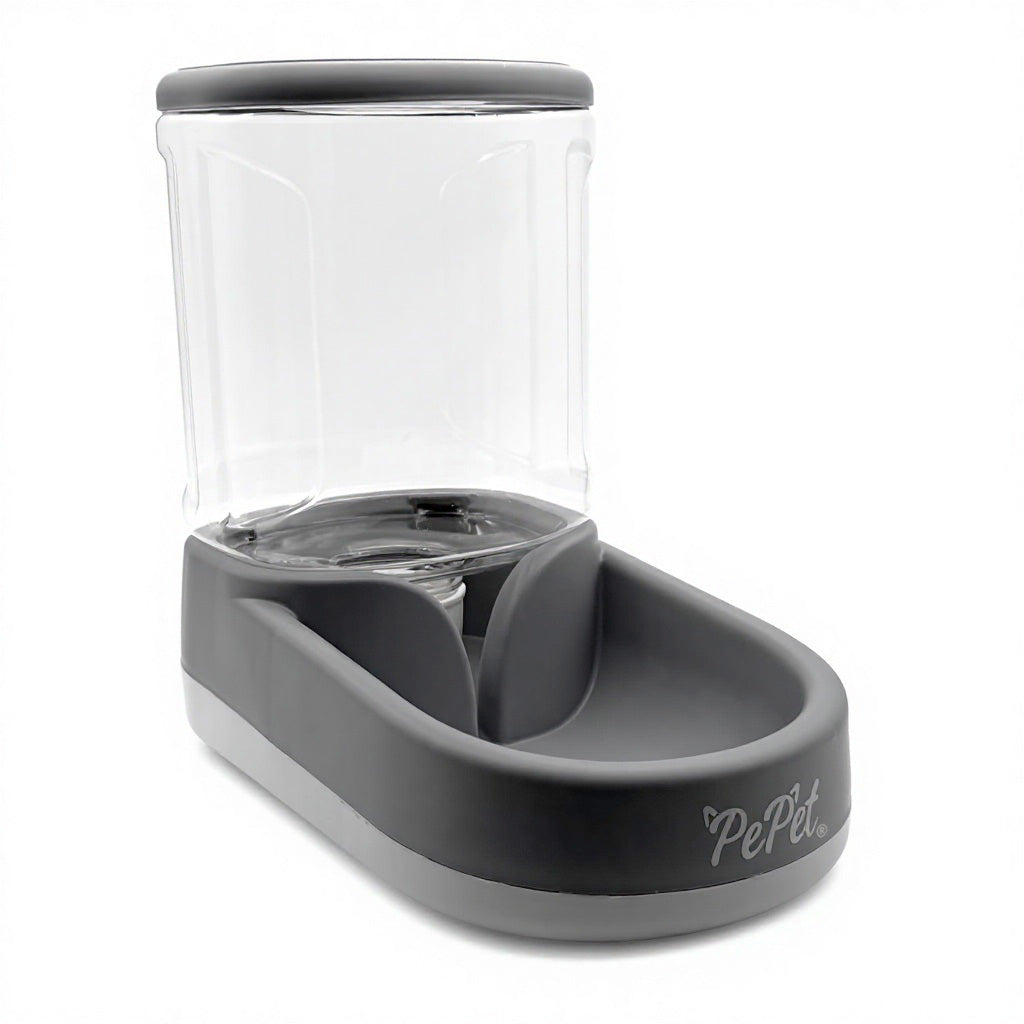 PP-001B — vista principal