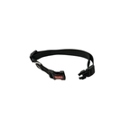 Collar para Perro Ajustable Talla S | 1 x 20-31 cm Pepet®