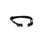 Collar para Perro Ajustable Talla M | 1.6 x 30-45 cm Pepet®