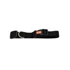 Collar para Perro Ajustable Talla L | 1.9 x 35-50 cm Pepet®