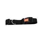Collar para Perro Ajustable Talla XL | 2.5 x 40-55 cm Pepet®