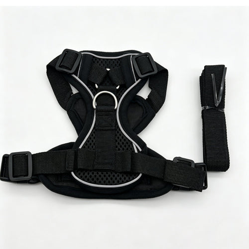 PP-005W Pepet — imagen 2