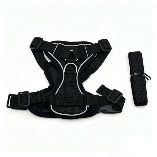 PP-006W Pepet — imagen 2