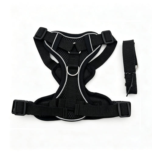 PP-007W Pepet — imagen 2