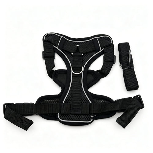 PP-008W Pepet — imagen 2