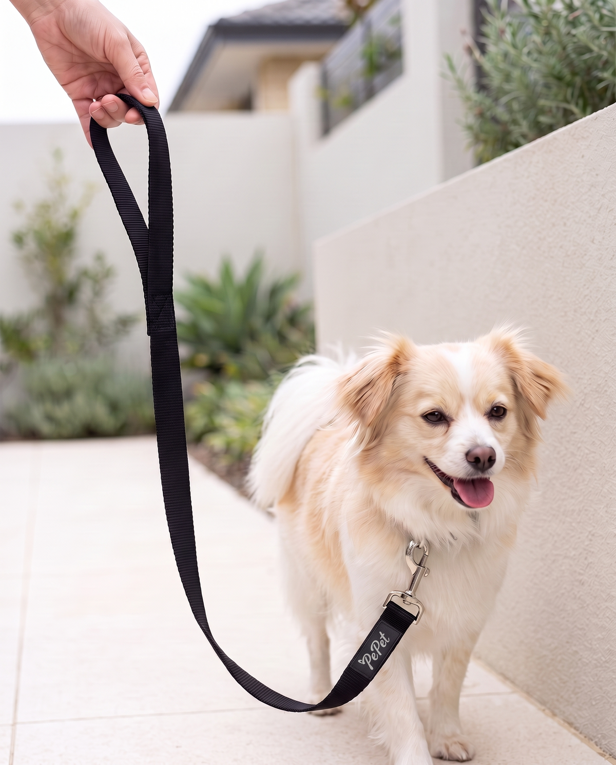 PP-009W Pepet — imagen 3