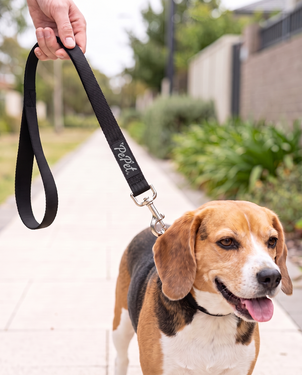 PP-010W Pepet — imagen 4