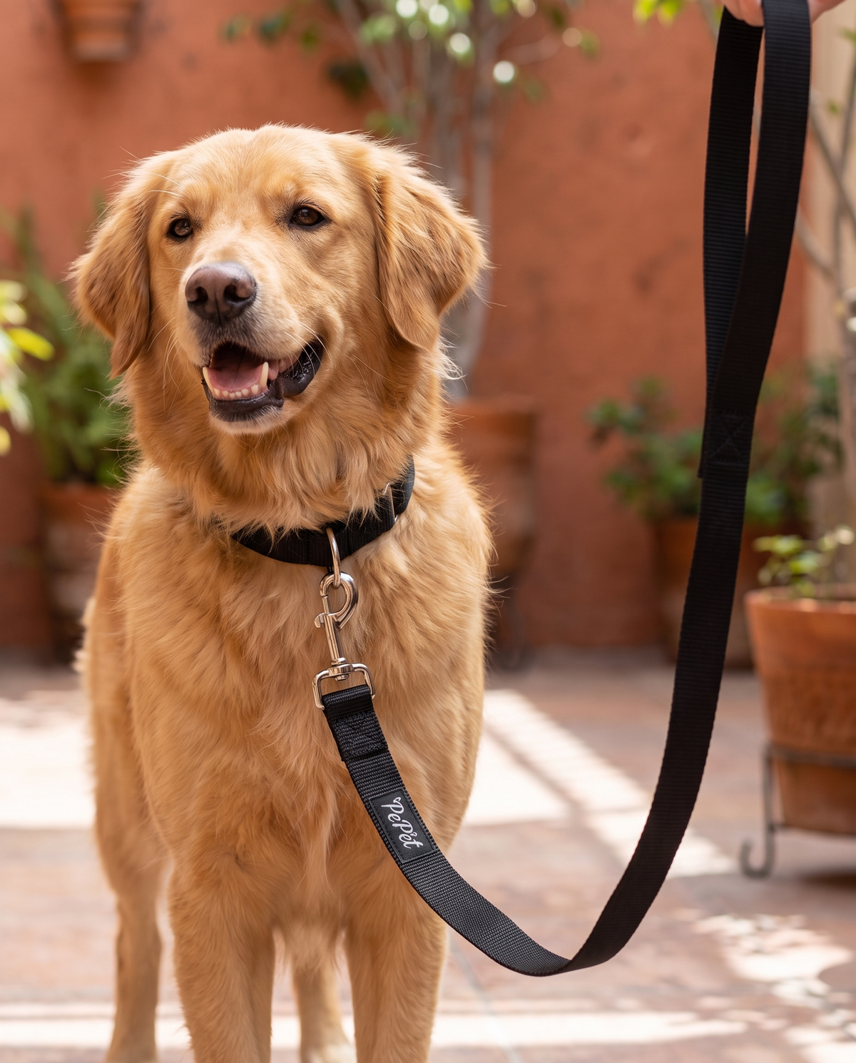 PP-011W Pepet — imagen 4
