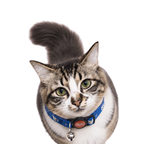 Collar Ligero con Campana Ajustable para Gato Pepet®