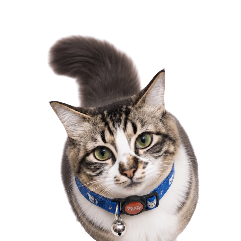 Collar Ligero con Campana Ajustable para Gato Pepet®