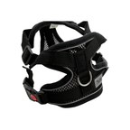 Arnés Ajustable para Perro Talla XL | 36-50cm / 42-52cm Pepet®