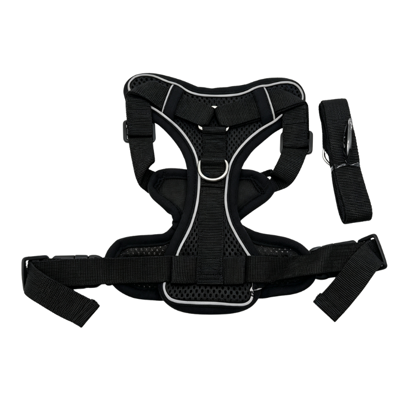 Arnés Ajustable para Perro Talla XL | 36-50cm / 42-52cm Pepet®