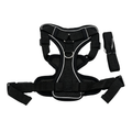 Arnés Ajustable para Perro Talla XL | 36-50cm / 42-52cm Pepet®